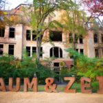 Beelitz-Heilstätten: Baum&Zeit Tree Top Walk Entry Ticket - Final Thoughts on the Value