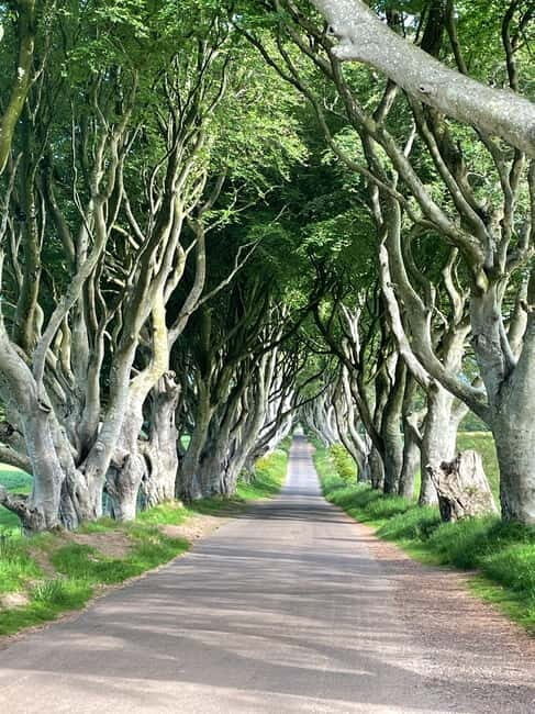 Belfast: Game of Thrones and Giants Causeway Private Tour - Who Will Love This Tour?