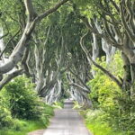 Belfast: Giants Causeway Tour Cruise Ship Excursion - An In-Depth Look at the Tour Experience