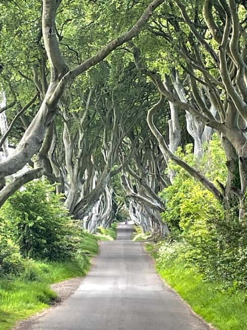 Belfast: Giants Causeway Tour Cruise Ship Excursion - An In-Depth Look at the Tour Experience