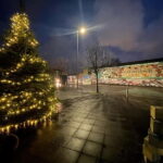 Belfast: Peace Wall & Mural Tour - Why This Tour Stands Out