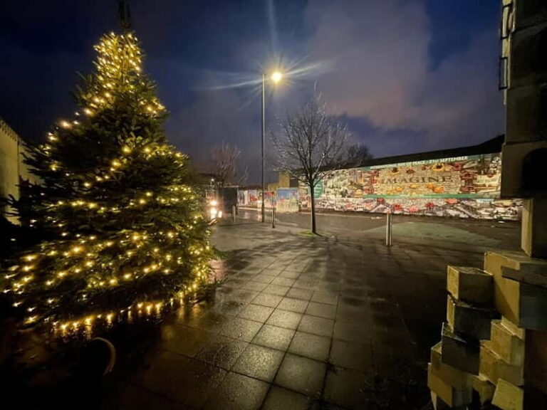 Belfast: Peace Wall & Mural Tour - Why This Tour Stands Out