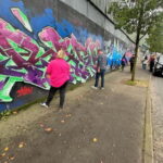 Belfast: Peacewall and Political History Black Taxi Cab Tour - The Sum Up