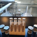 Belgrade Beer tour with beer tasting and local craft brewery - What’s Included and What’s Not