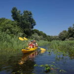 Belgrade: Great War Island Kayak Adventure - Exploring the Itinerary: What You Can Expect