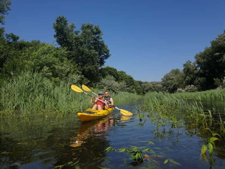 Belgrade: Great War Island Kayak Adventure - Exploring the Itinerary: What You Can Expect