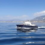 Benalmádena: Catamaran Cruise with Drinks and Swim Stop - The Itinerary in Detail