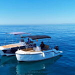 Benalmádena: license-Free Rent Boat for Dolphin Watching - The Real Experience: Insights from Past Travelers