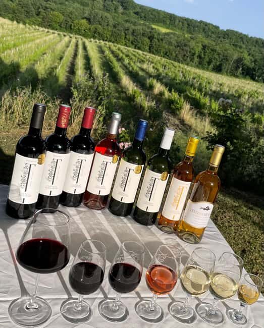 Bergerac: Wine Tasting at Chateau Lestevenie - Detailed Review of the Chateau Lestevenie Wine Tasting Experience