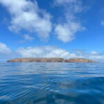 Berlenga Island: Kayak Tour and Glass-bottom Boat Trip - Practical Details and What You Should Know