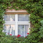 Berlin: Botanic Garden Berlin Entry Ticket with Audio Guide - Is This Experience Worth It?