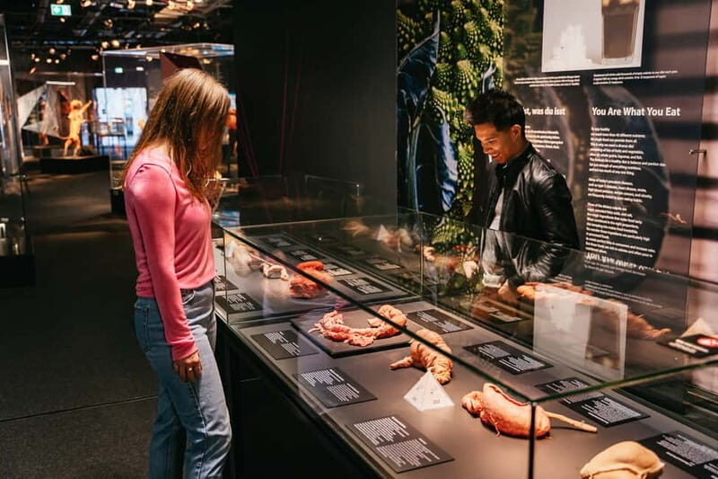 Berlin: Tickets for the BODY WORLDS Museum in Berlin - What to Expect During Your Visit