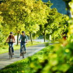 Bernkastel-Kues, Moselle: Bicycle picnic boat tour with wine tasting - Practical Details & Considerations