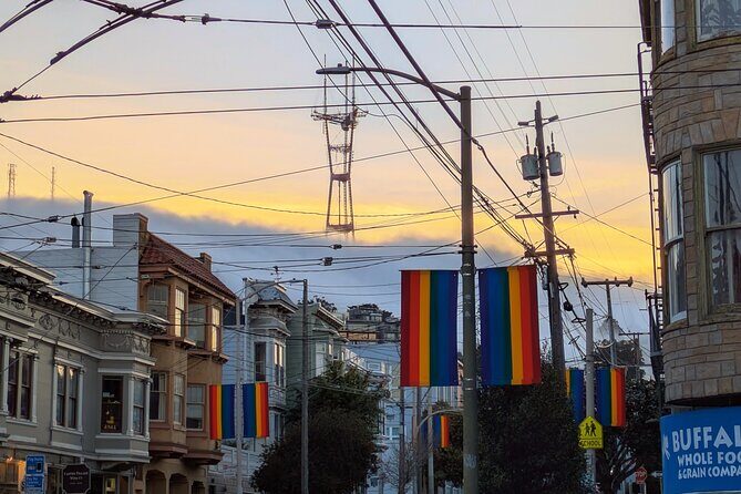 Bespoke San Francisco EV VW Van Experience - In-Depth Look at the Itinerary