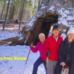 Best 1-Day Yosemite National Park Private Tour from San Francisco - Exploring the Itinerary: A Closer Look at the Day