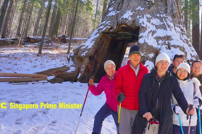 Best 1-Day Yosemite National Park Private Tour from San Francisco - Exploring the Itinerary: A Closer Look at the Day