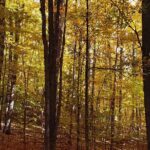 Best of Boyne - Full Day Private Experience - What Travelers Can Expect in Terms of Logistics and Value