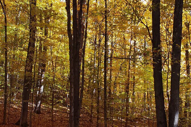 Best of Boyne - Full Day Private Experience - What Travelers Can Expect in Terms of Logistics and Value