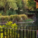 Best of Caldas da Rainha: Private Walking Tour with a Local - Discovering Caldas da Rainha: A City Full of Charm