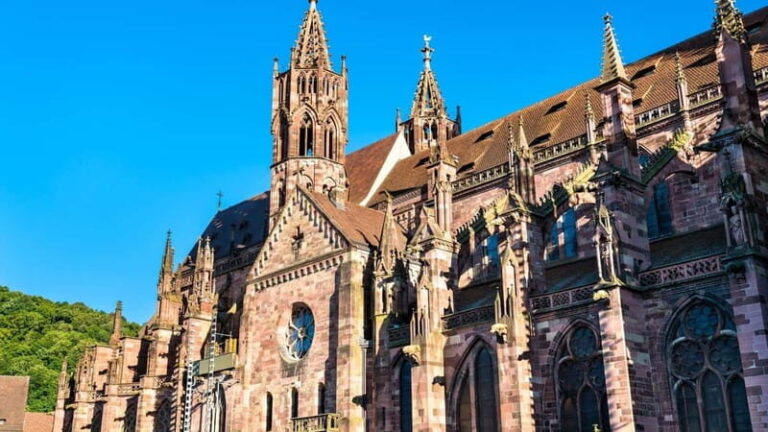 Best of Freiburg: Private Walking Tour with a Local - What to Expect from Your Tour