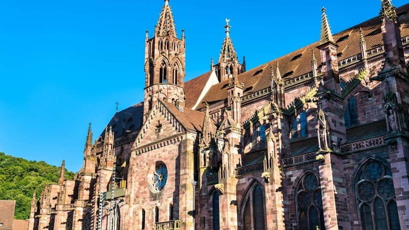 Best of Freiburg: Private Walking Tour with a Local - What to Expect from Your Tour