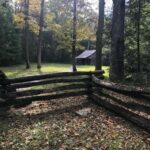 Best of the Smokies Private Half-Day Tour with Picnic Lunch - What You Can Expect from This Tour