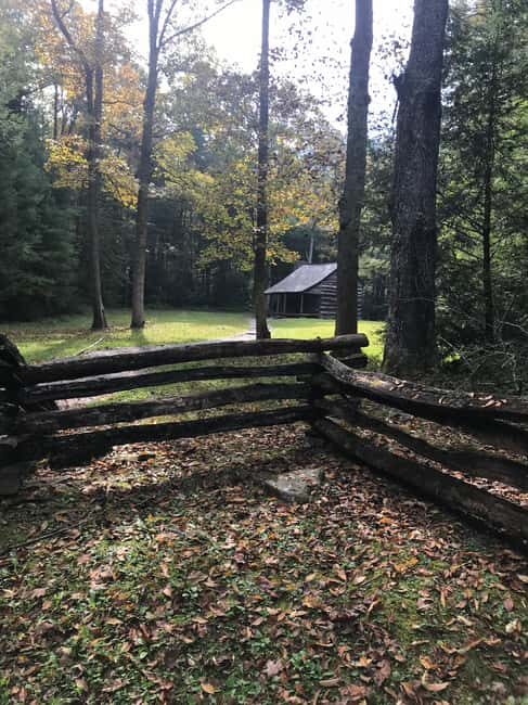 Best of the Smokies Private Half-Day Tour with Picnic Lunch - What You Can Expect from This Tour