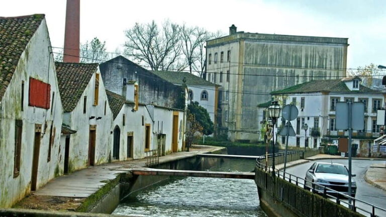 Best of Tomar: Private Walking Tour with a Local - What to Expect From the Tour