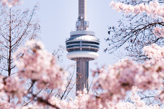 Best of Toronto City Tour with Boat Cruise & CN Tower - Final Thoughts