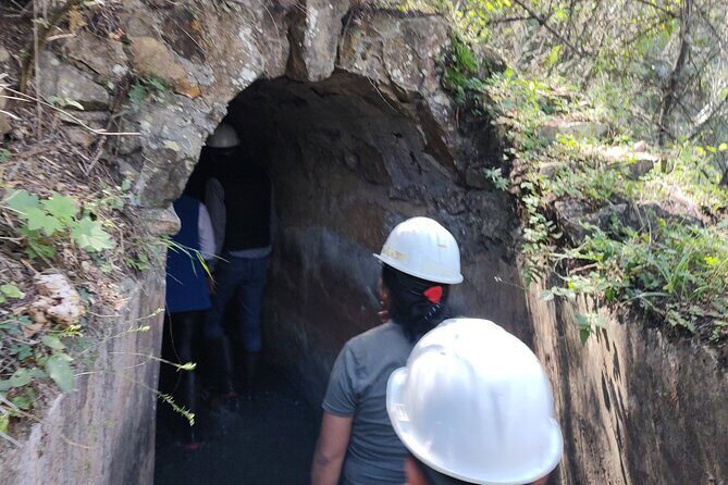 Between Tunnels and Bats - The Main Event: Bat Observation in the Tunnels