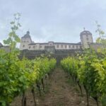 Between vineyards and a royal residence  enjoy Würzburg's wines with a view - Practical Details and Why They Matter