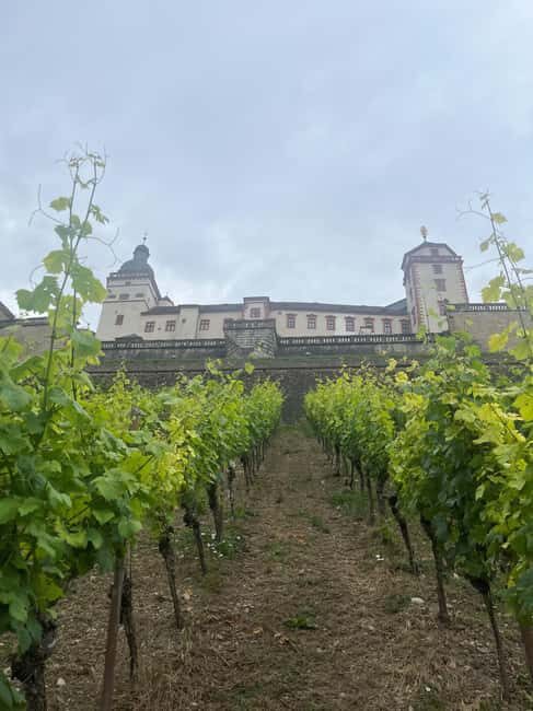 Between vineyards and a royal residence enjoy Würzburg's wines with a view - Practical Details and Why They Matter