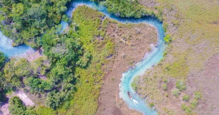 Beyond Bacalar: Private Cruise on the Pirate Route + Slow River + Lunch - What Reviewers Say