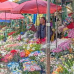 Beyond the Old City: Tbilisi's Hidden Gems Walking Tour - Practical Considerations