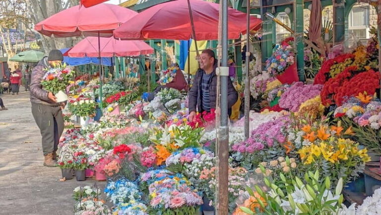 Beyond the Old City: Tbilisi's Hidden Gems Walking Tour - Practical Considerations