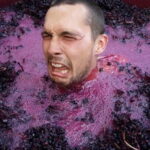 Beziers: Eco Wine Tasting at Sarabande Wines Off-Grid Winery - Deep Dive into the Experience