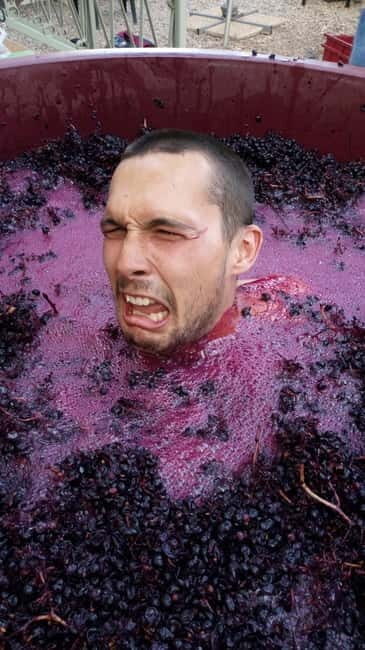 Beziers: Eco Wine Tasting at Sarabande Wines Off-Grid Winery - Deep Dive into the Experience  