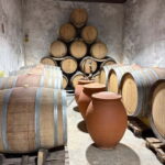 Béziers: Wine and Oyster Tasting Tour at Thau lagoon - Final Thoughts