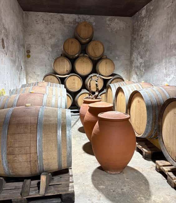 Béziers: Wine and Oyster Tasting Tour at Thau lagoon - Final Thoughts