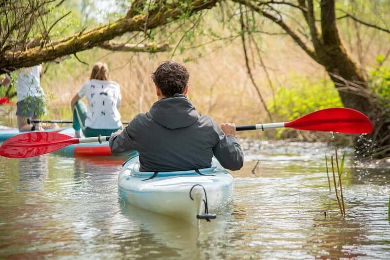 Biesbosch: Kayak Rental with Route Map and Life Jacket - Why This Tour Offers Great Value