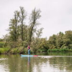 Biesbosch: SUP Board Rental - The Experience: What You Will Love and What to Keep in Mind