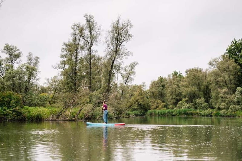 Biesbosch: SUP Board Rental - The Experience: What You Will Love and What to Keep in Mind