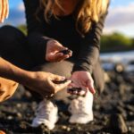 Big Island: Coffee, Black Sand, Volcano and Waterfall Tour - Who Should Consider This Tour?