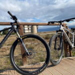 Bike rental: Port of Cagliari, Su Siccu, Nervi Park, Molentargius - A Practical Guide to the Cagliari Bike Experience