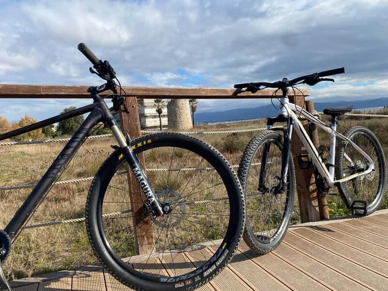 Bike rental: Port of Cagliari, Su Siccu, Nervi Park, Molentargius - A Practical Guide to the Cagliari Bike Experience