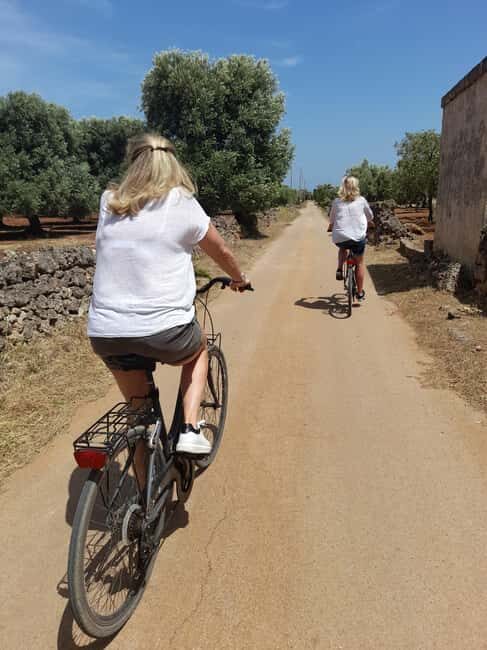 Bike Tour among the Ancient Olive Trees with EVO Oil Tasting - The Experience in Practice