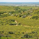Bike & Wine tour in Dealu Mare wineland - Practical Details & What You Should Know