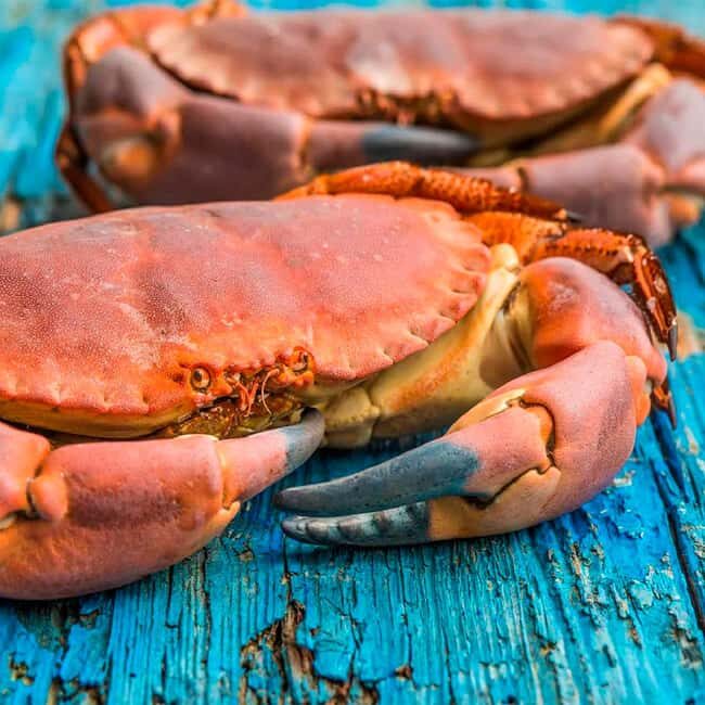 Bilbao: Guggenheim Secrets & Savor the Seas Treasures. VIP - The Value Proposition