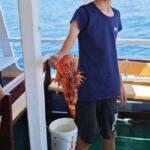 Biograd: Authentic Fishing Tour in Croatia. Kids Love This! - Why This Tour Is a Great Choice