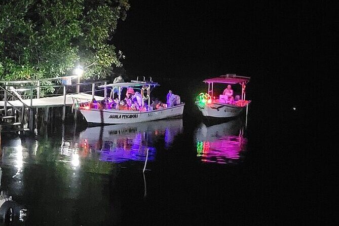 Bioluminescence in Manialtepec Night Tour from Huatulco - What Sets This Tour Apart?